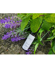 Dor de Cabeça Roll-on 10ml