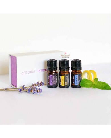 Kit Introdutório de Óleos Essenciais Kit Introdutório de Óleos Essenciais