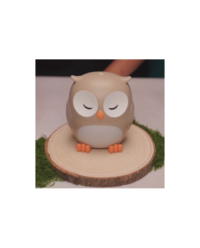 Difusor de óleos essenciais OWL
