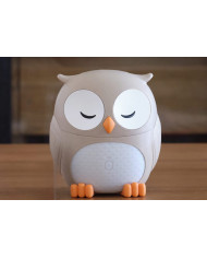 Difusor de óleos essenciais OWL