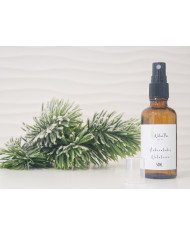 Ambientador Natalício Spray 50ml