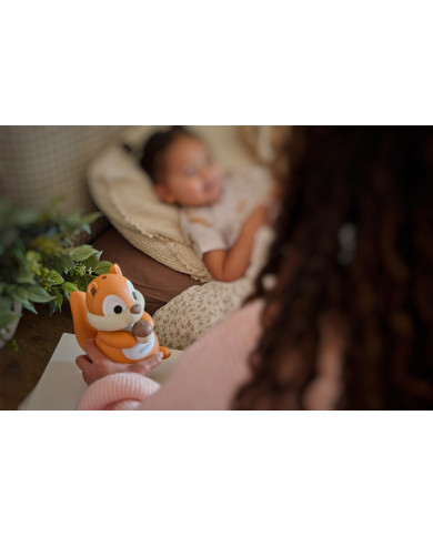 Difusor de óleos essenciais Squirrel (Esquilo)