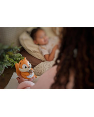 Difusor de óleos essenciais Squirrel (Esquilo)